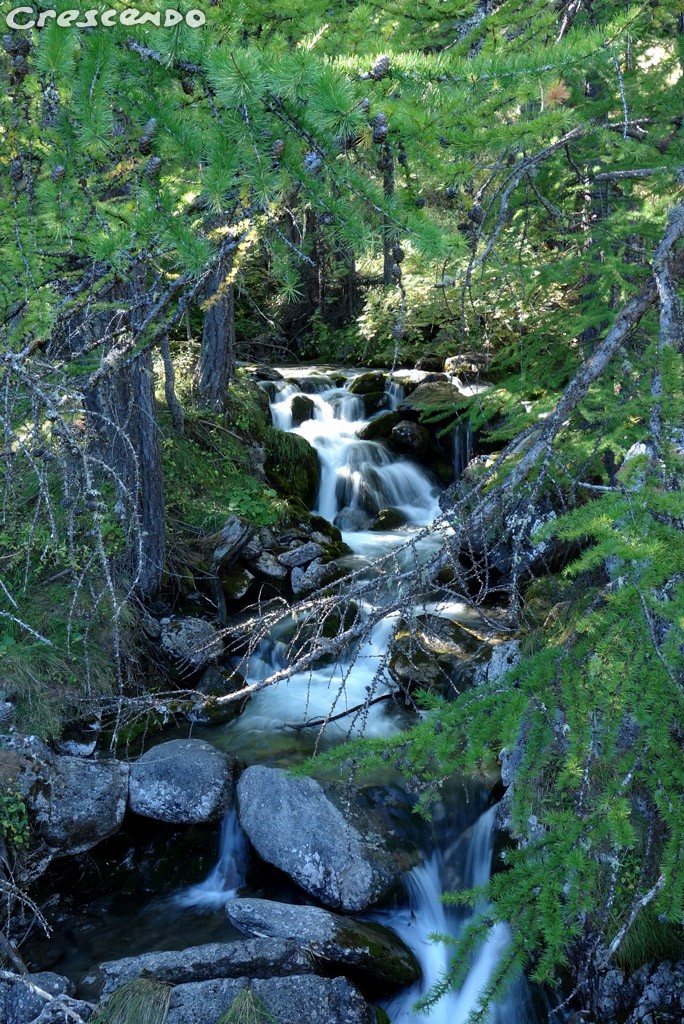 escalade et canyoning hautes-alpes, stage 05