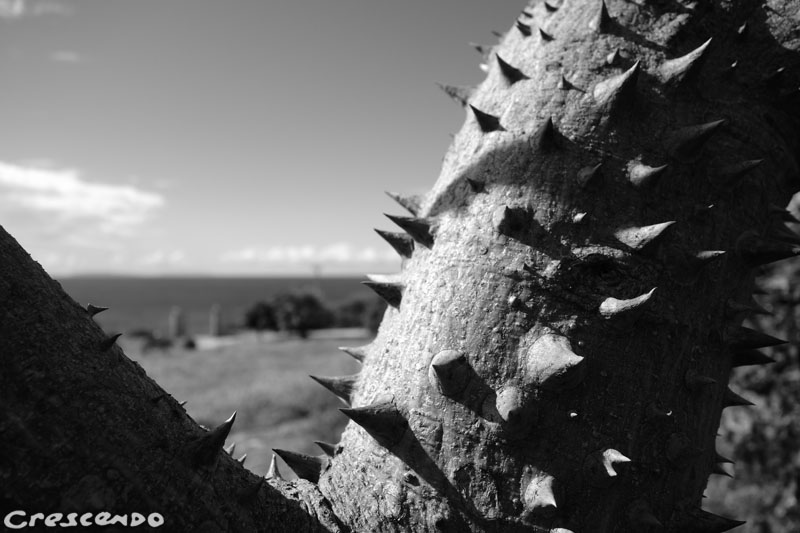 San Vito lo Capo Sicile