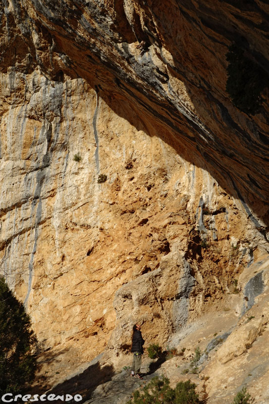 Verdon - Courchon - stage escalade