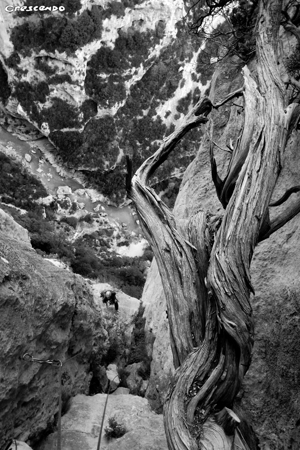 Gorges du Verdon - Stage d'escalade en falaise