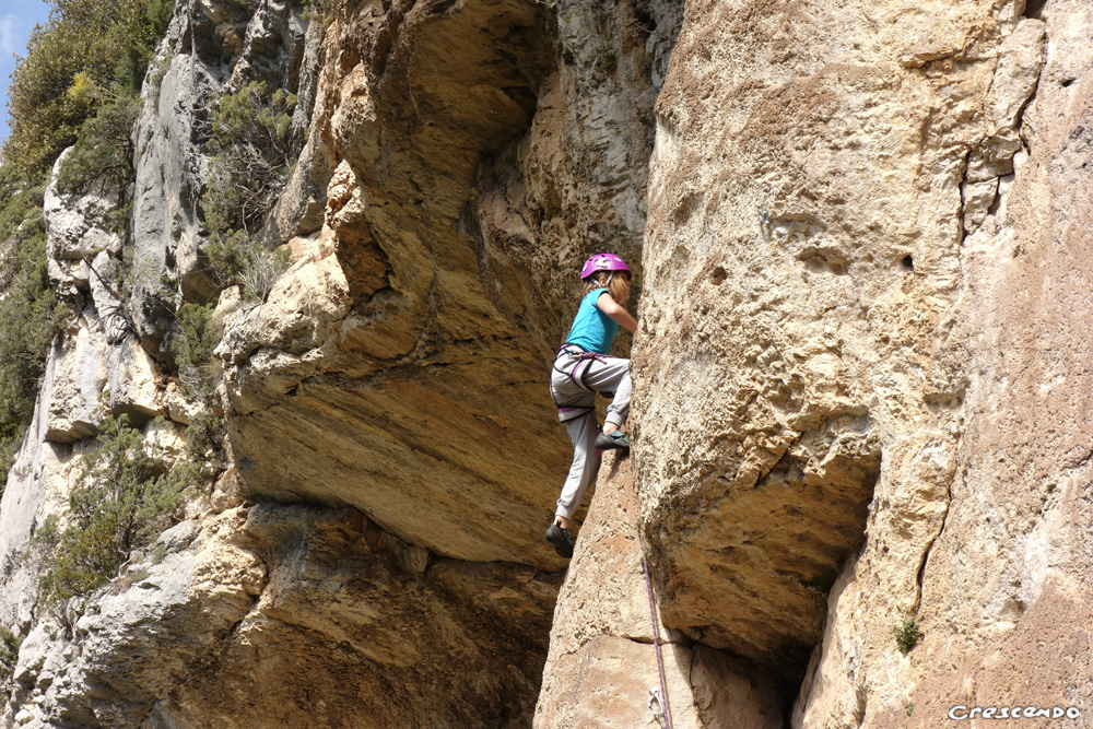 Caf, stage escalade gorges du verdon