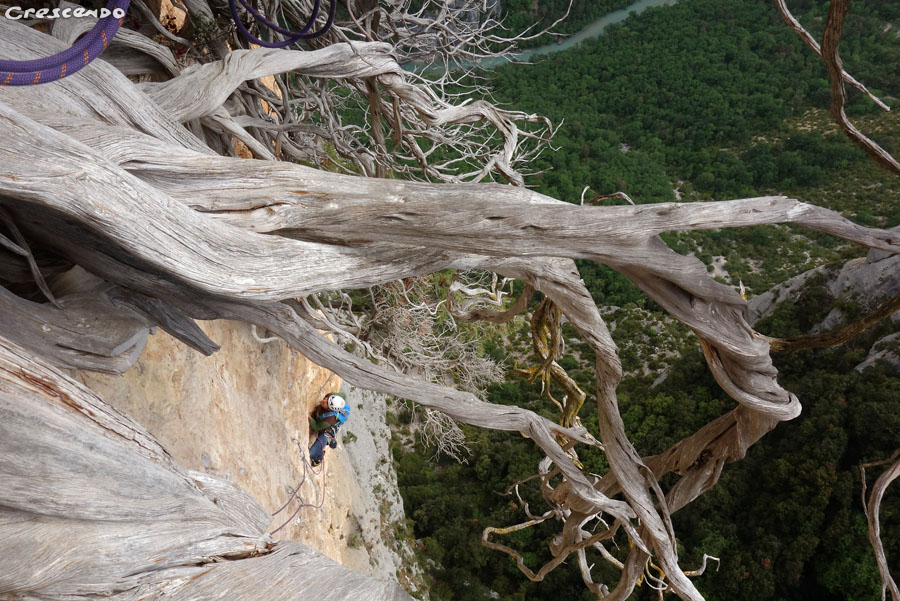 Verdon grande voie Via Mathis - stage d'escalade