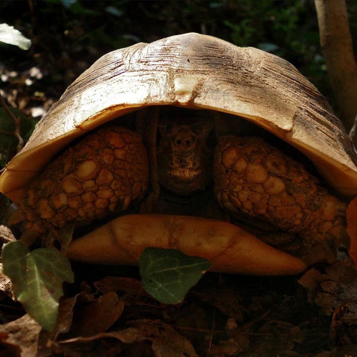 grande voie Météores, escalade en Grèce