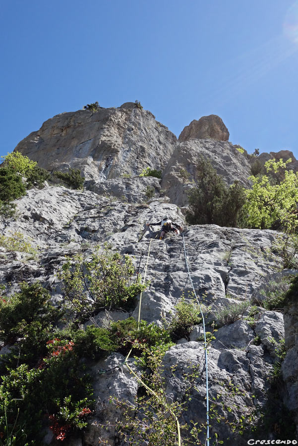 grande voie adulte, grande voie séjour, escalade en grande voie