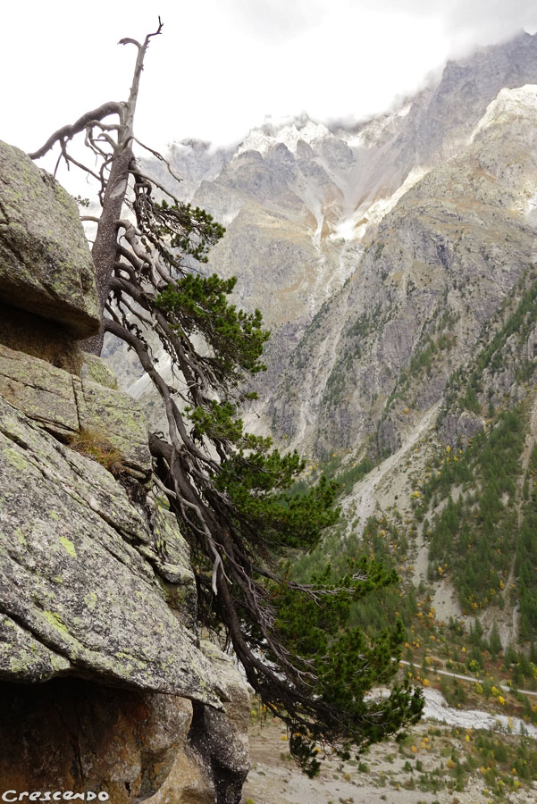 Pelvous escalade, moniteur grande voie 05