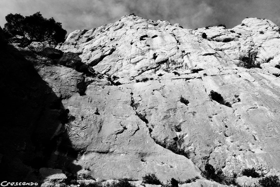 moniteur séjour escalade