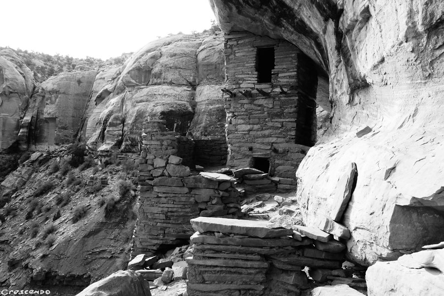 gimpe USA, grimper aux Etats unis