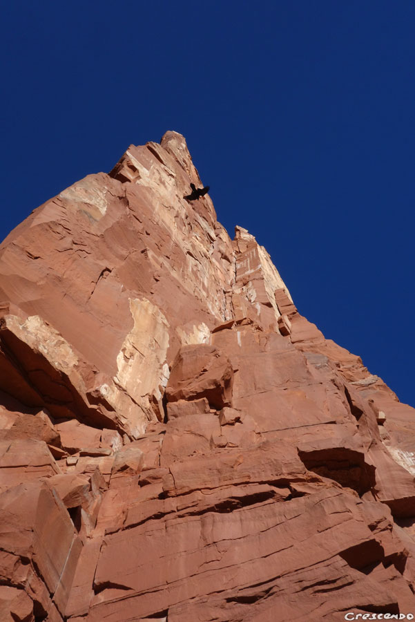 Castleton, desert tower, escalade aux Etats-Unis