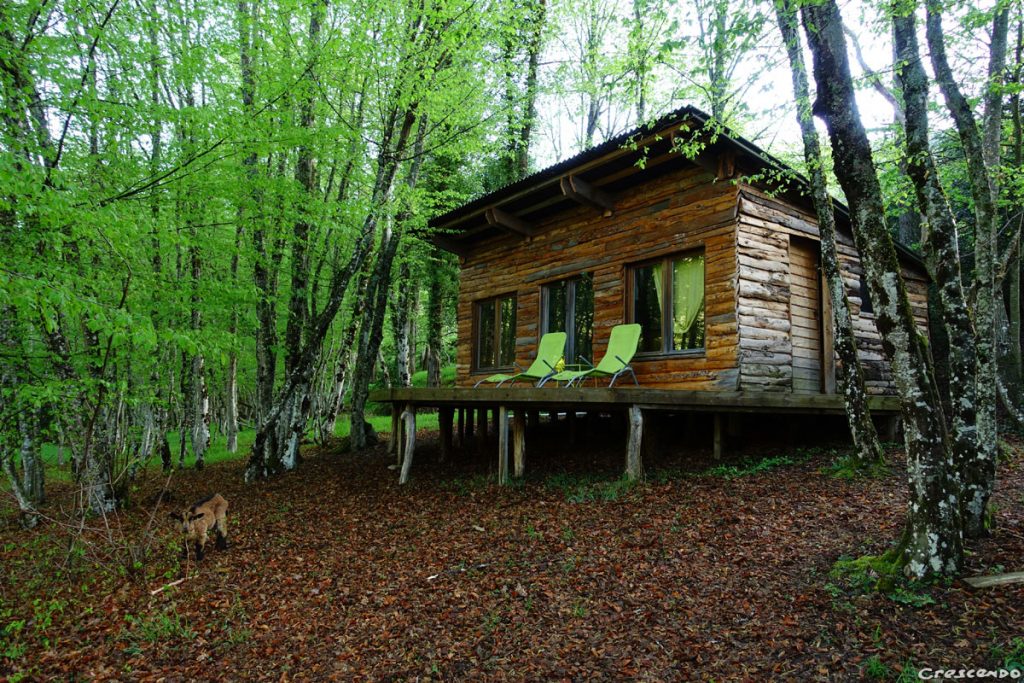 camping Ombleze_escalade Ombleze