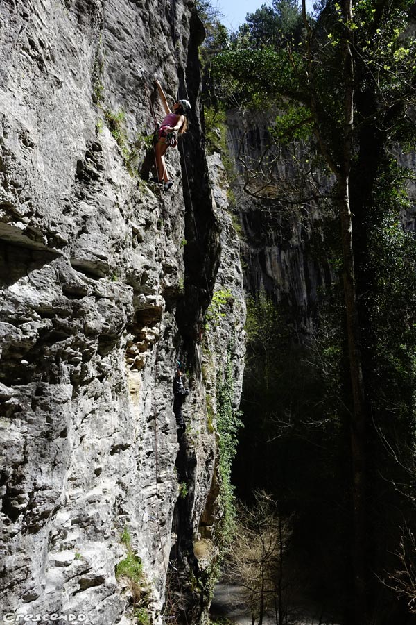 Ombleze jardiland, grimper à omblèze
