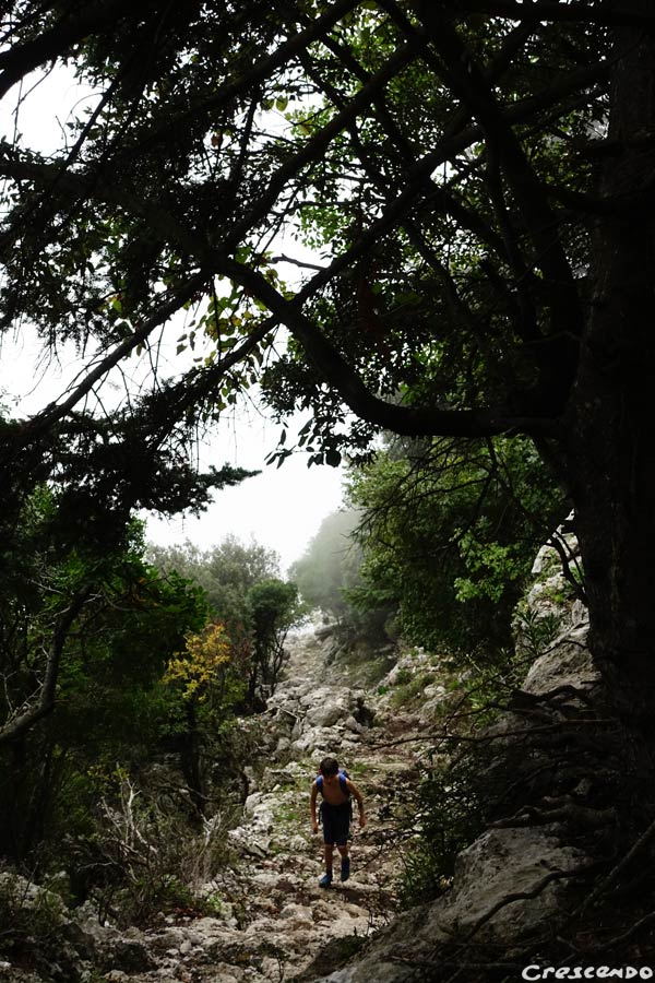séjour escalade Kyparissi