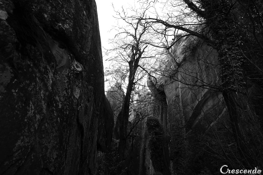 chambre du roi, ANNOT