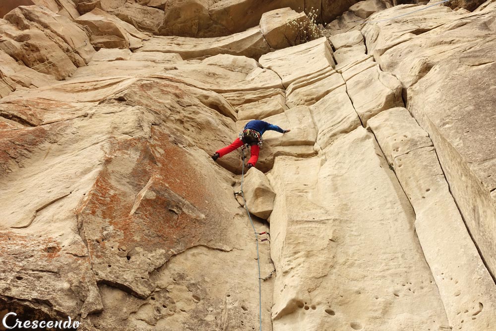 trad en France, stage Trad en france