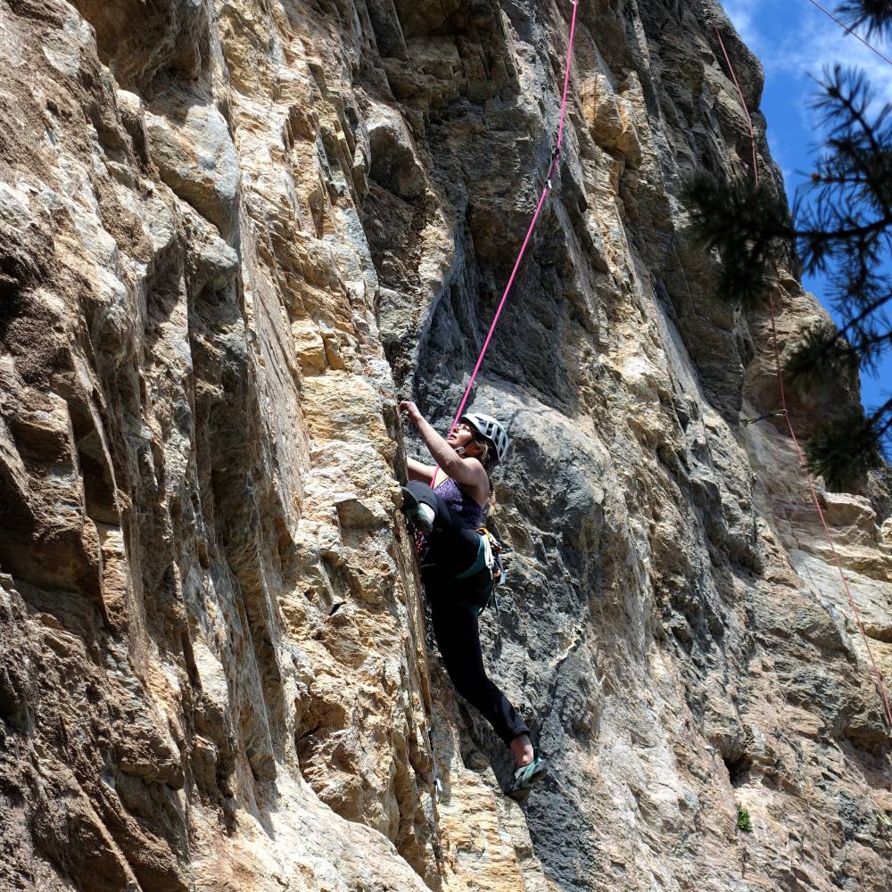 stage escalade adulte